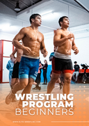 Wrestling Program for Beginners